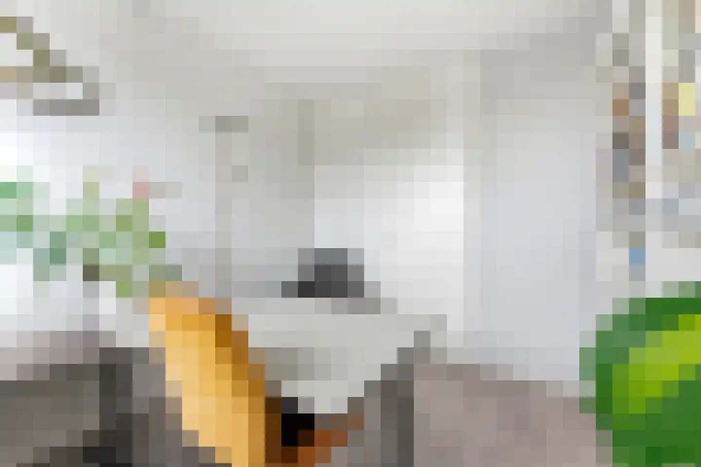 Hugo de Grootlaan 1 Ridderkerk thumbnail 23