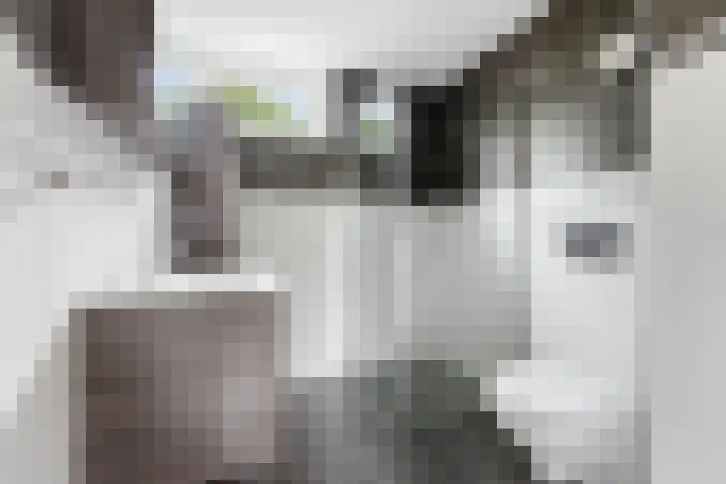 Hugo de Grootlaan 1 Ridderkerk thumbnail 24