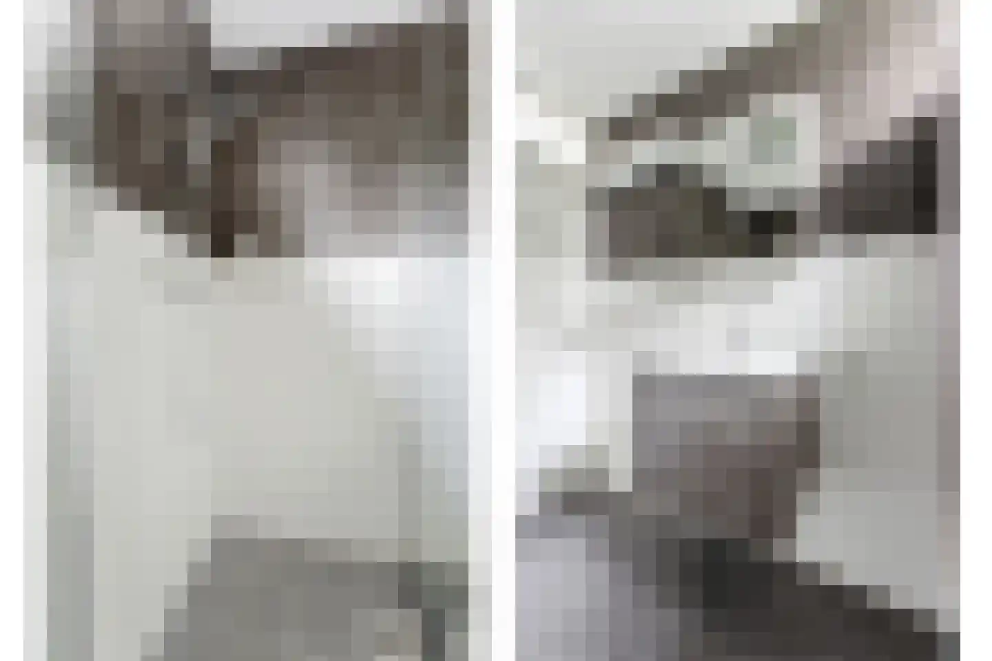 Hugo de Grootlaan 1 Ridderkerk thumbnail 25