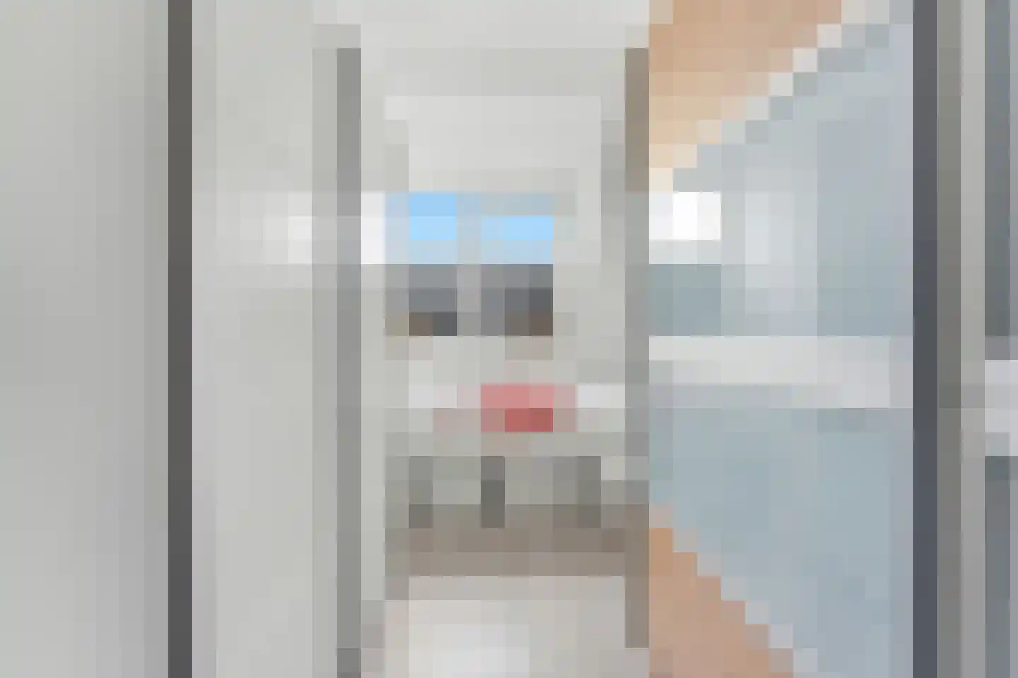 Hugo de Grootlaan 1 Ridderkerk thumbnail 26