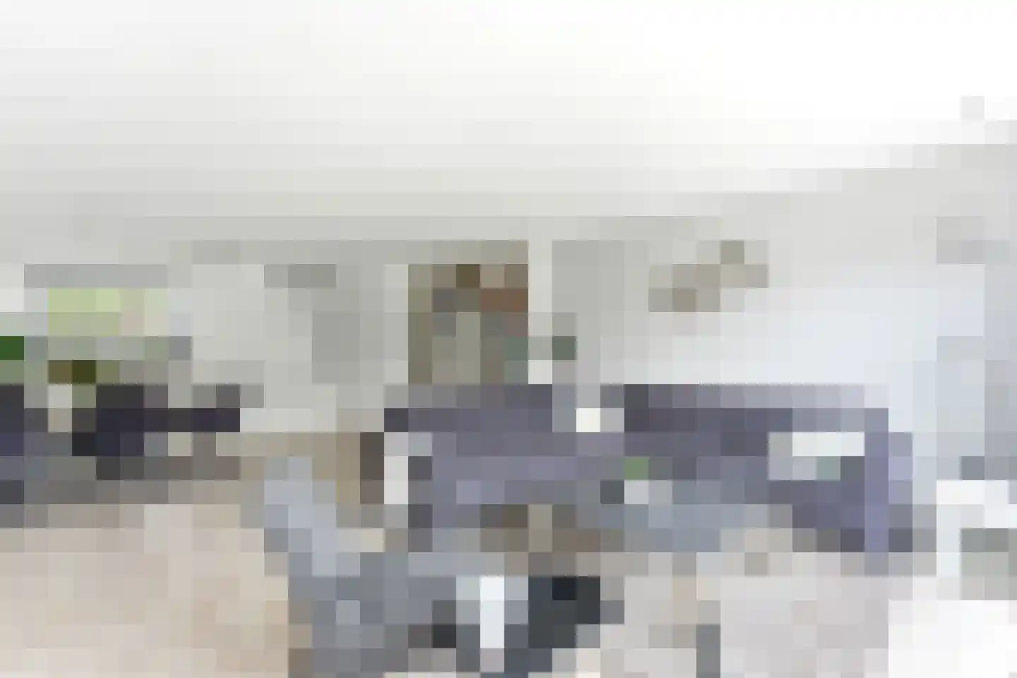 Hugo de Grootlaan 1 Ridderkerk thumbnail 5