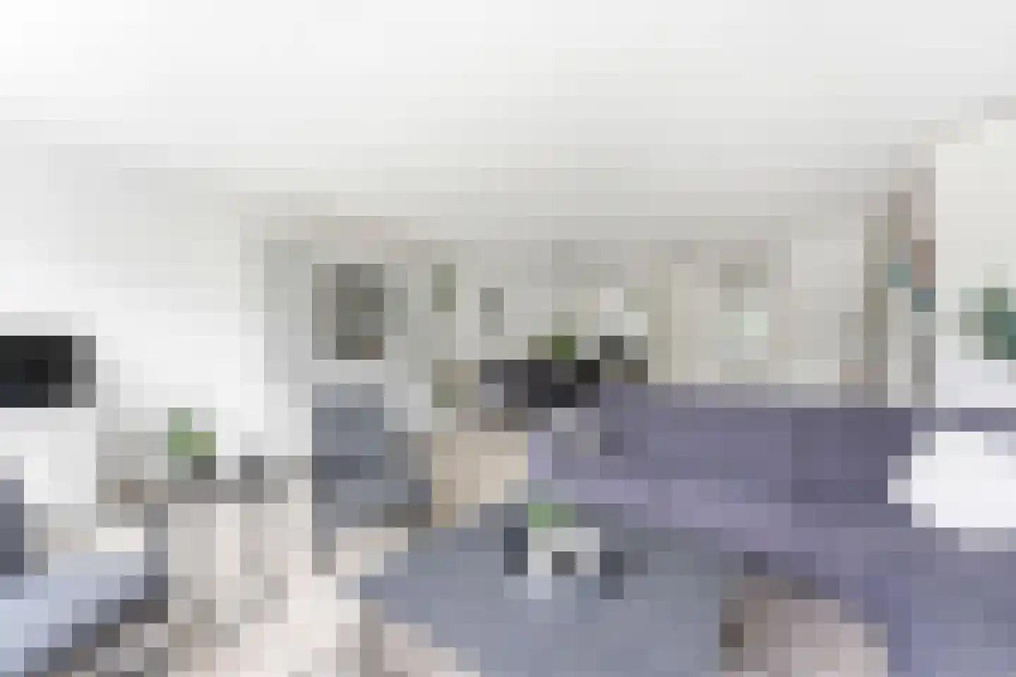 Hugo de Grootlaan 1 Ridderkerk thumbnail 6