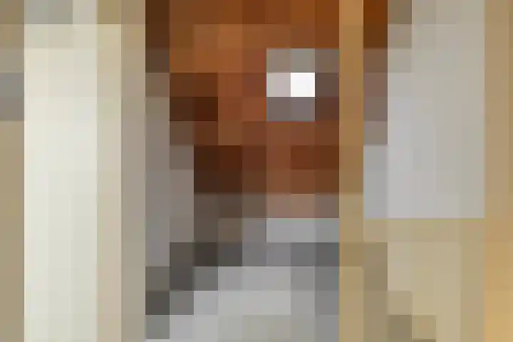 Hugo de Grootlaan 15 Middelburg thumbnail 20
