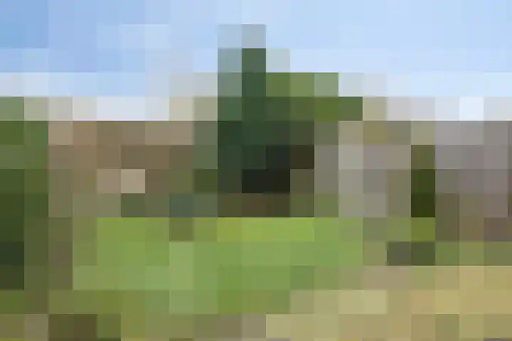 Hugo de Grootlaan 15 Middelburg thumbnail 24