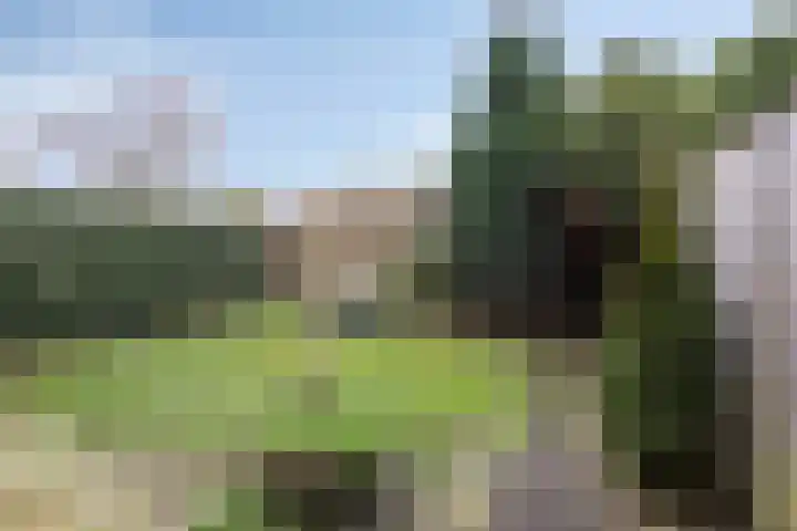 Hugo de Grootlaan 15 Middelburg thumbnail 25