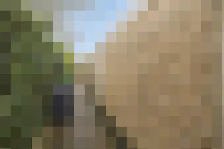 Hugo de Grootlaan 15 Middelburg thumbnail 26