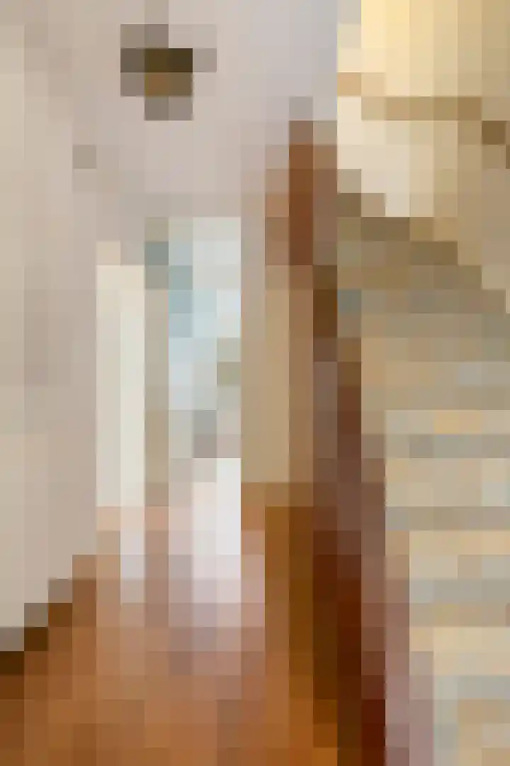 Hugo de Grootlaan 15 Middelburg thumbnail 9