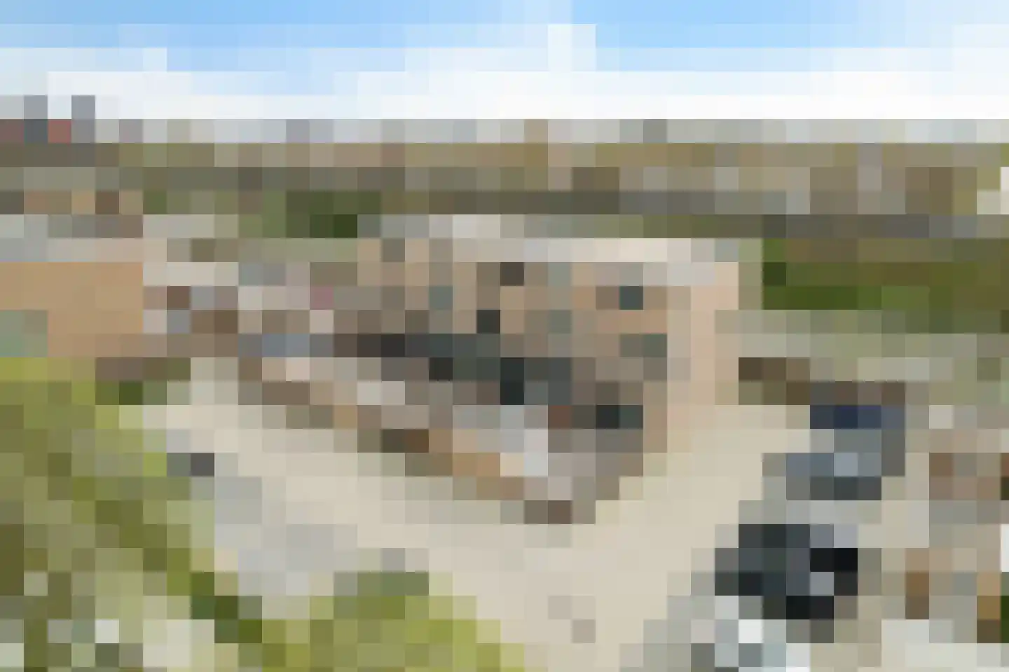 Hugo de Grootlaan 26 Zoetermeer thumbnail 48