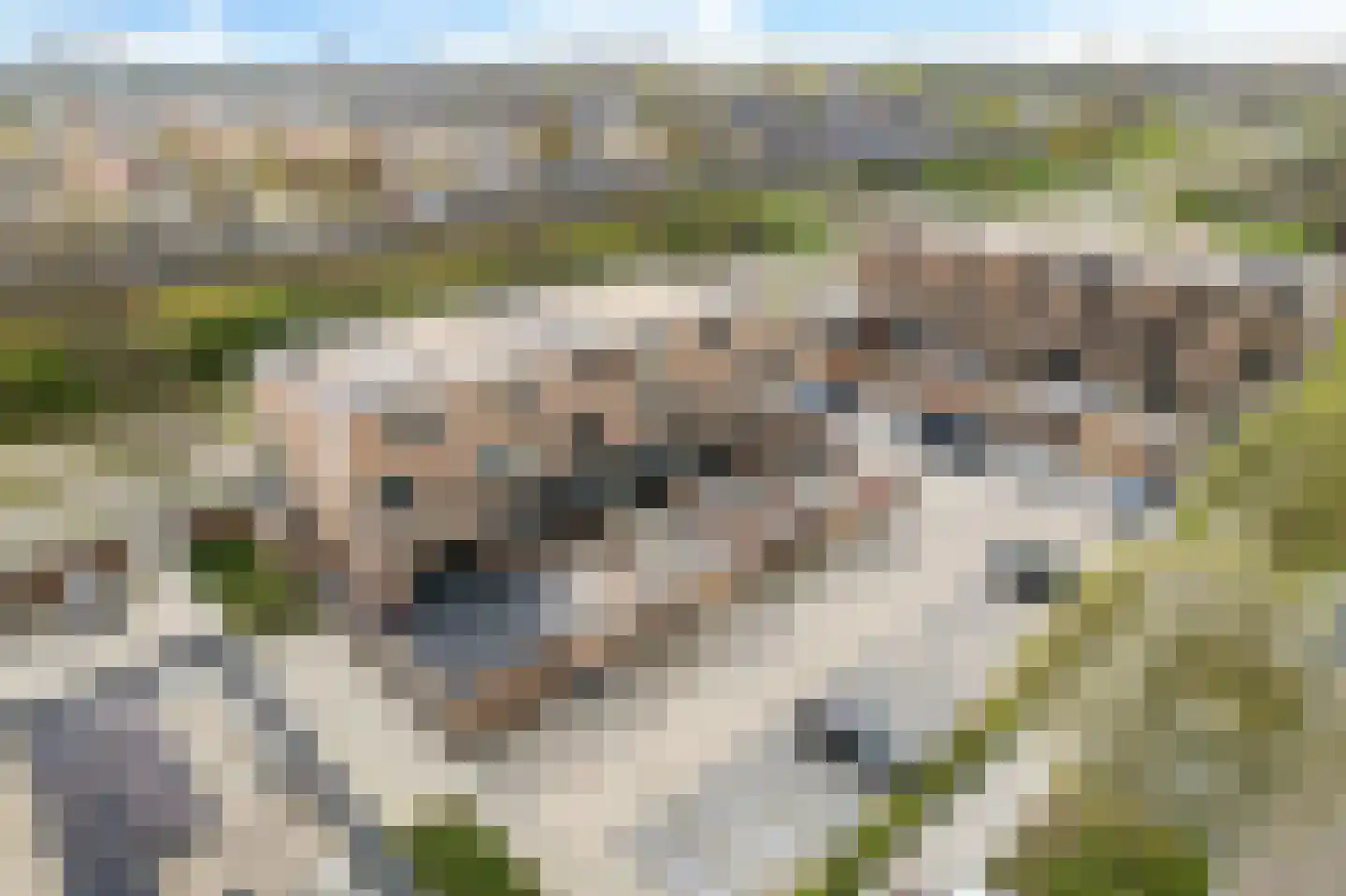 Hugo de Grootlaan 26 Zoetermeer thumbnail 7