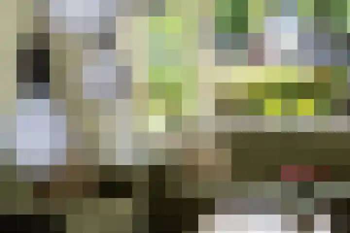 Hugo de Grootlaan 27 Dordrecht thumbnail 7