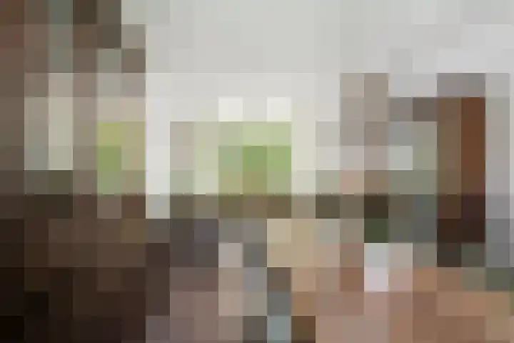 Hugo de Grootlaan 27 Dordrecht thumbnail 8