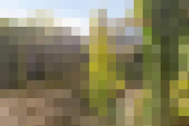 Hugo de Grootlaan 33 Middelburg thumbnail 24
