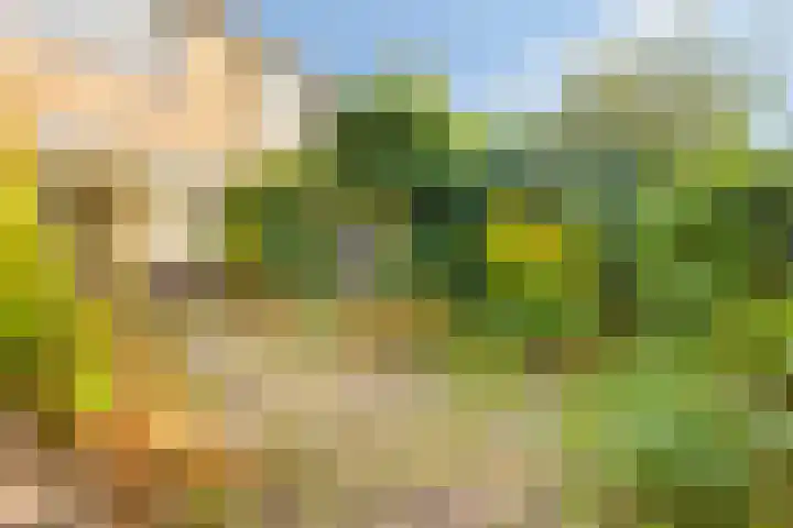 Hugo de Grootlaan 33 Middelburg thumbnail 4