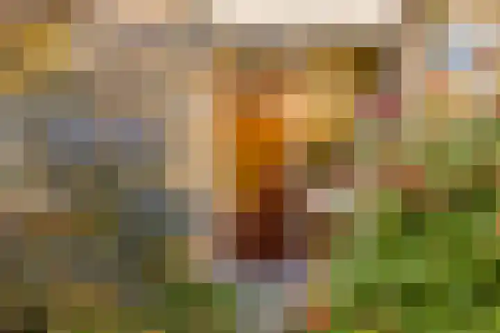 Hugo de Grootlaan 33 Middelburg thumbnail 5