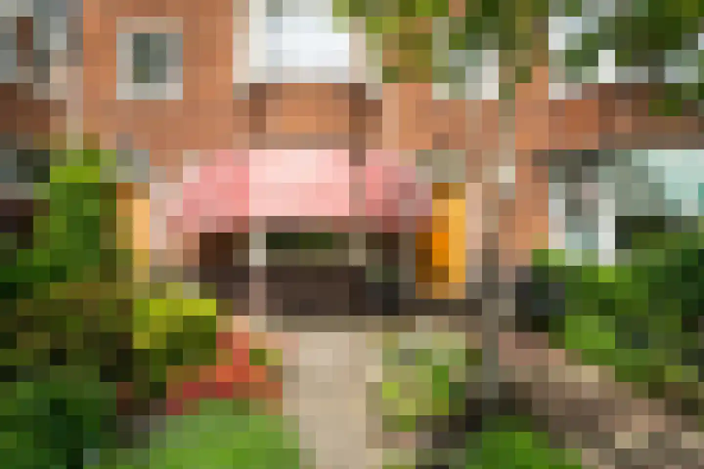 Hugo de Grootlaan 37 Dordrecht thumbnail 6
