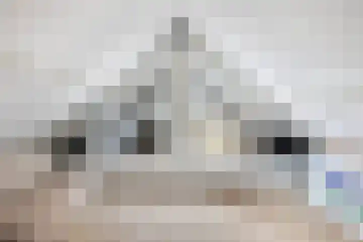 Hugo de Grootlaan 71 Dordrecht thumbnail 37