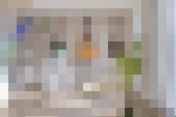 Hugo de Grootlaan 9 Barneveld thumbnail 10