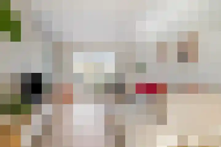 Hugo de Grootlaan 9 Barneveld thumbnail 11