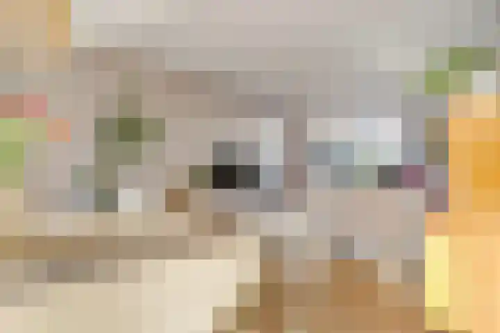 Hugo de Grootlaan 9 Barneveld thumbnail 12