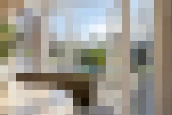 Hugo de Grootlaan 9 Barneveld thumbnail 13