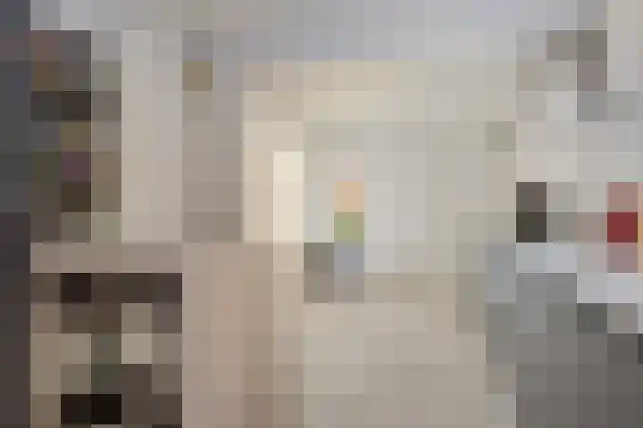 Hugo de Grootlaan 9 Barneveld thumbnail 16
