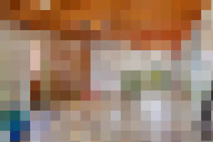 Hugo de Grootlaan 9 Barneveld thumbnail 18