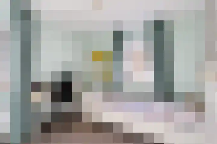 Hugo de Grootlaan 9 Barneveld thumbnail 25