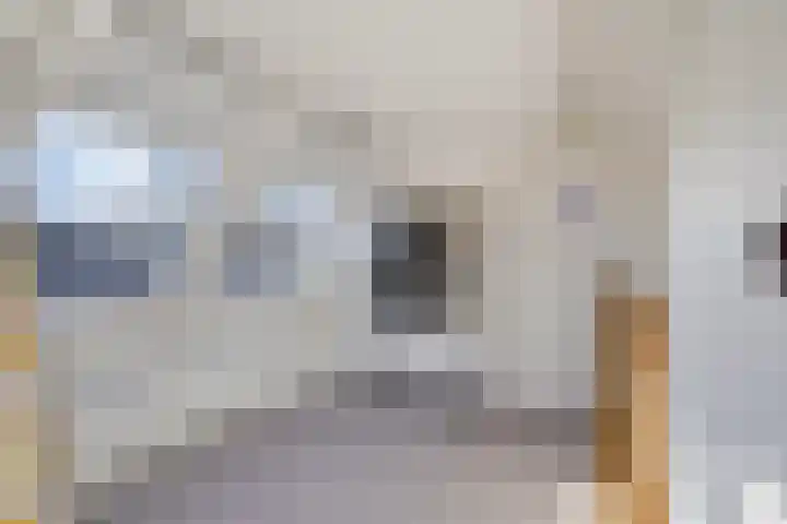 Hugo de Grootlaan 9 Barneveld thumbnail 31
