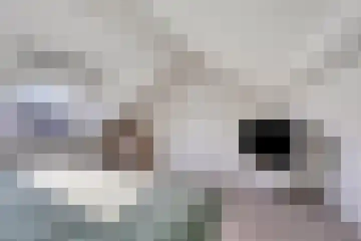 Hugo de Grootlaan 9 Barneveld thumbnail 33