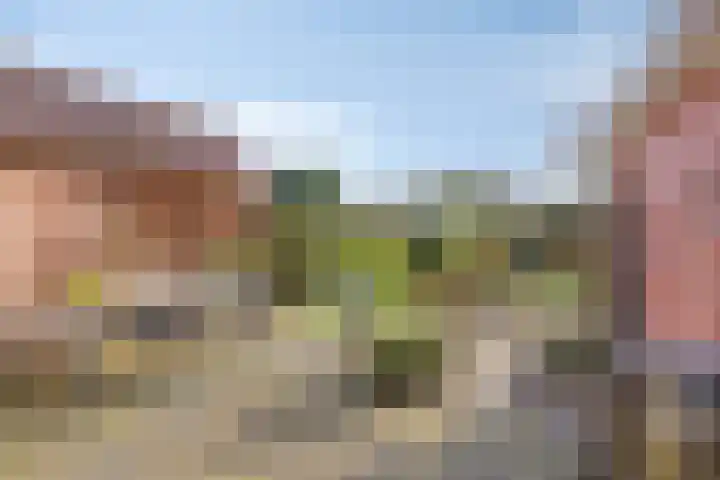 Hugo de Grootlaan 9 Barneveld thumbnail 35