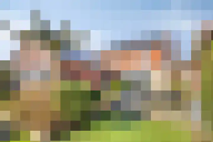 Hugo de Grootlaan 9 Barneveld thumbnail 38