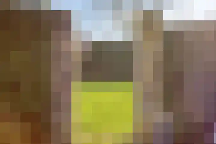 Hugo de Grootlaan 9 Barneveld thumbnail 40