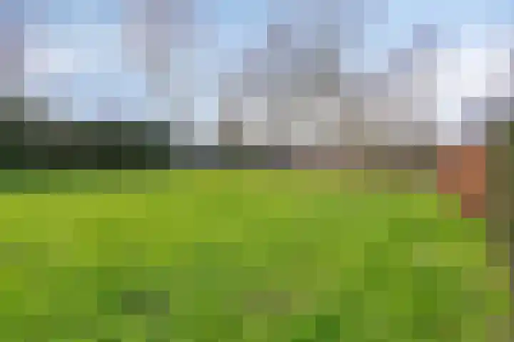 Hugo de Grootlaan 9 Barneveld thumbnail 41