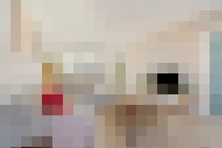 Hugo de Grootlaan 9 Barneveld thumbnail 7