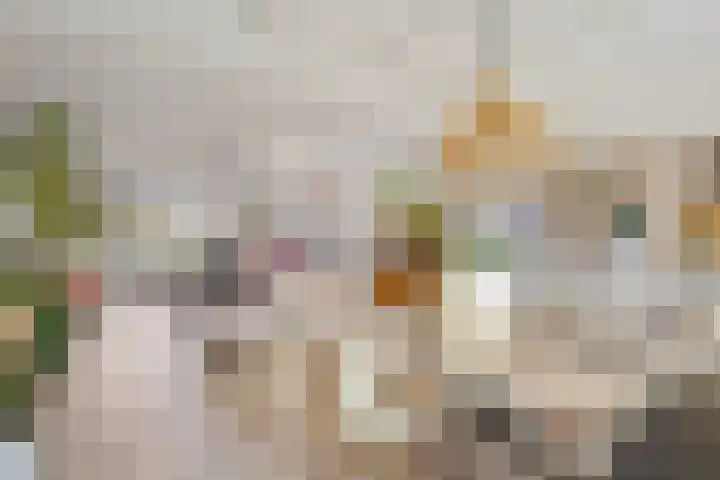 Hugo de Grootlaan 9 Barneveld thumbnail 9