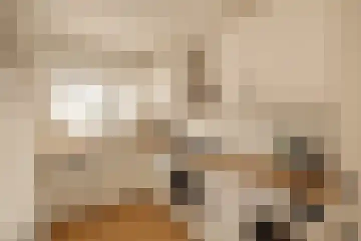 Hugo de Grootplein 10 3 Amsterdam thumbnail 13