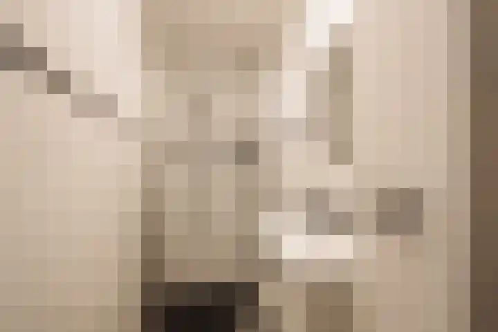 Hugo de Grootplein 10 3 Amsterdam thumbnail 22