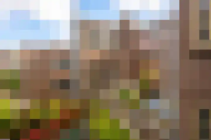 Hugo de Grootplein 13 3 Amsterdam thumbnail 17