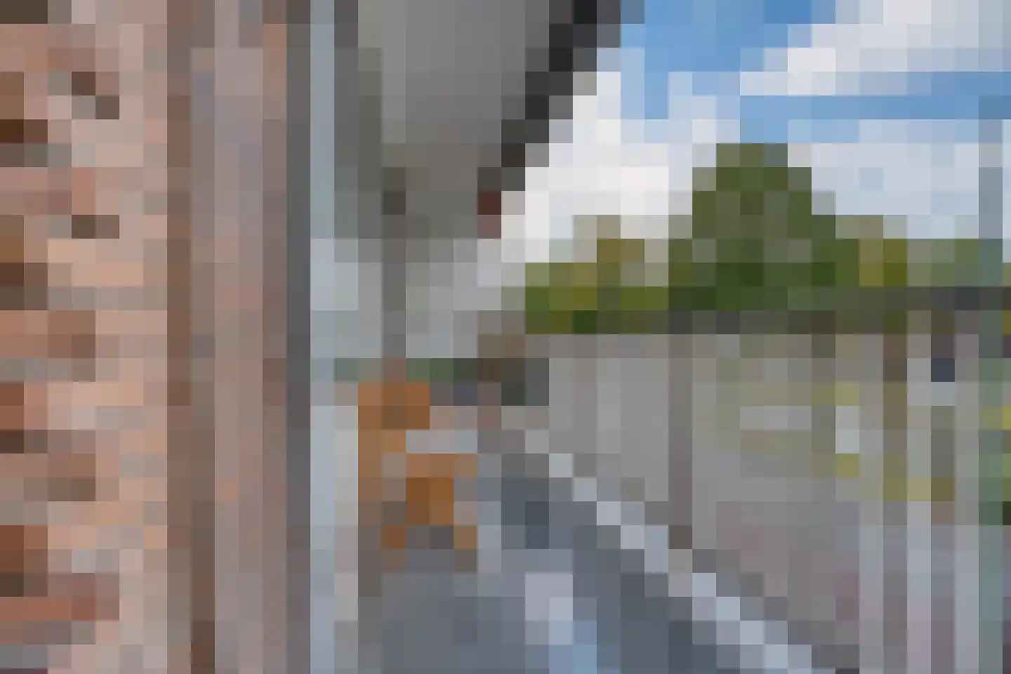 Hugo de Grootplein 16 Dordrecht thumbnail 23