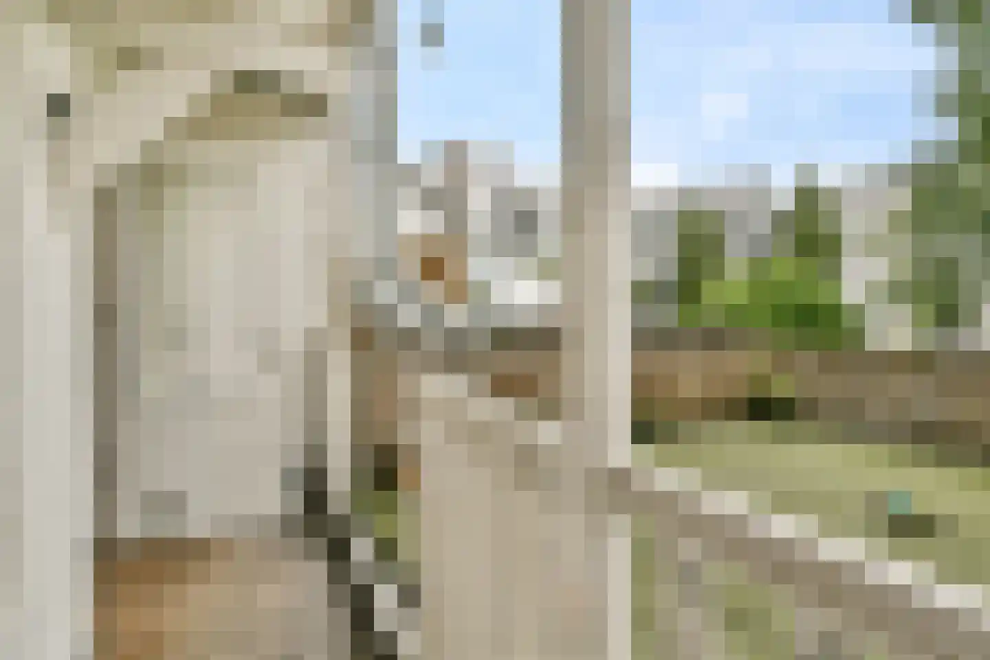 Hugo de Grootplein 4 1 Amsterdam thumbnail 20