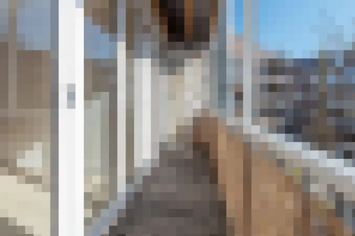 Hugo de Grootplein 5 2 Amsterdam thumbnail 13