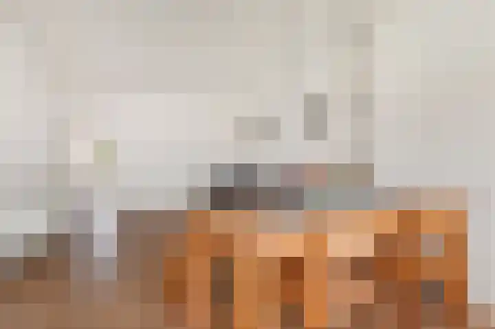Hugo de Grootplein 6 H Amsterdam thumbnail 14