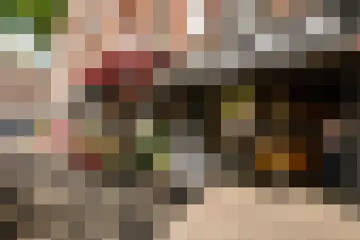 Hugo de Grootplein 6 H Amsterdam thumbnail 7