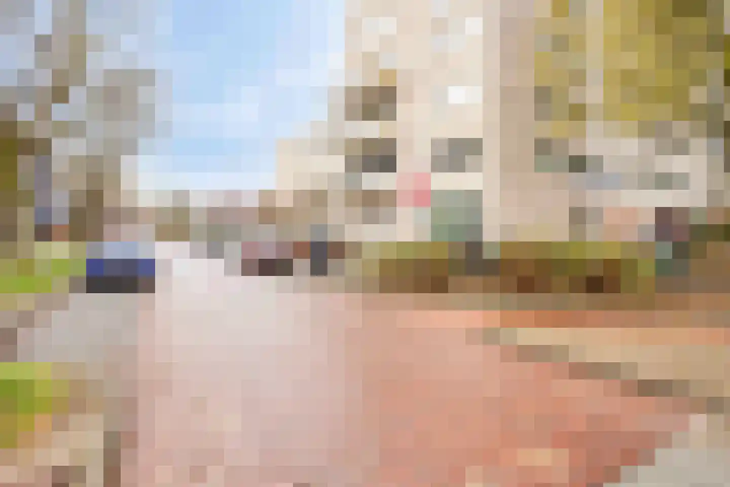 Hugo de Grootplein 67 Eindhoven thumbnail 5