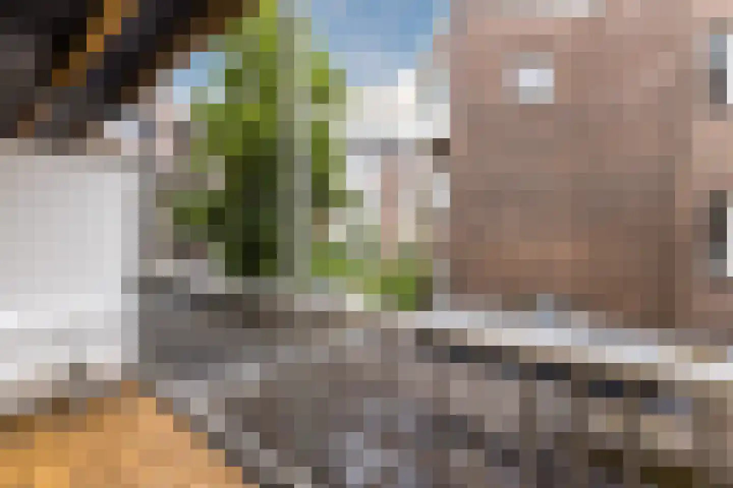 Hugo de Grootplein 7 1 Amsterdam thumbnail 17