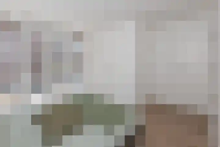 Hugo de Grootplein 7 2 Amsterdam thumbnail 10