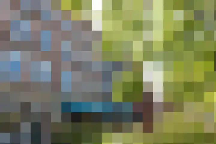 Hugo de Grootplein 7 2 Amsterdam thumbnail 16