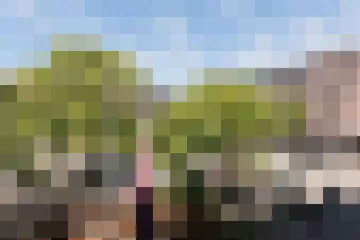 Hugo de Grootplein 7 2 Amsterdam thumbnail 17