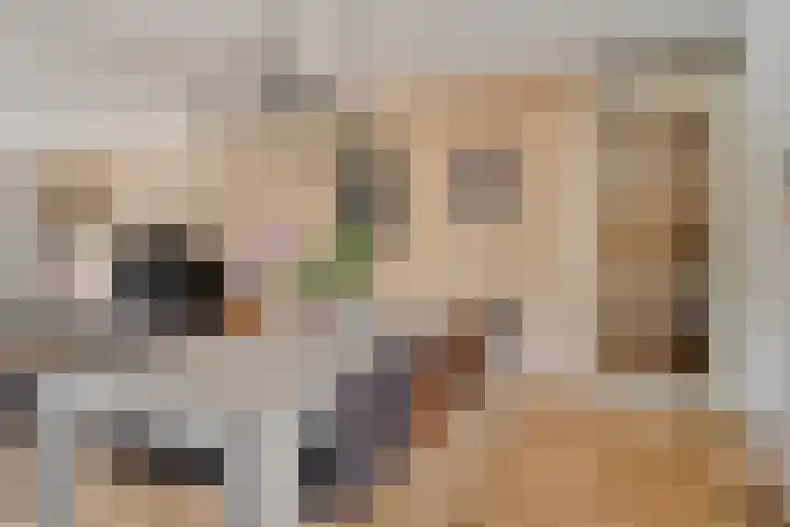 Hugo de Grootplein 75 Eindhoven thumbnail 10