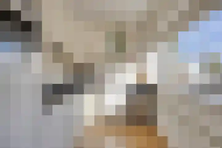 Hugo de Grootplein 75 Eindhoven thumbnail 11